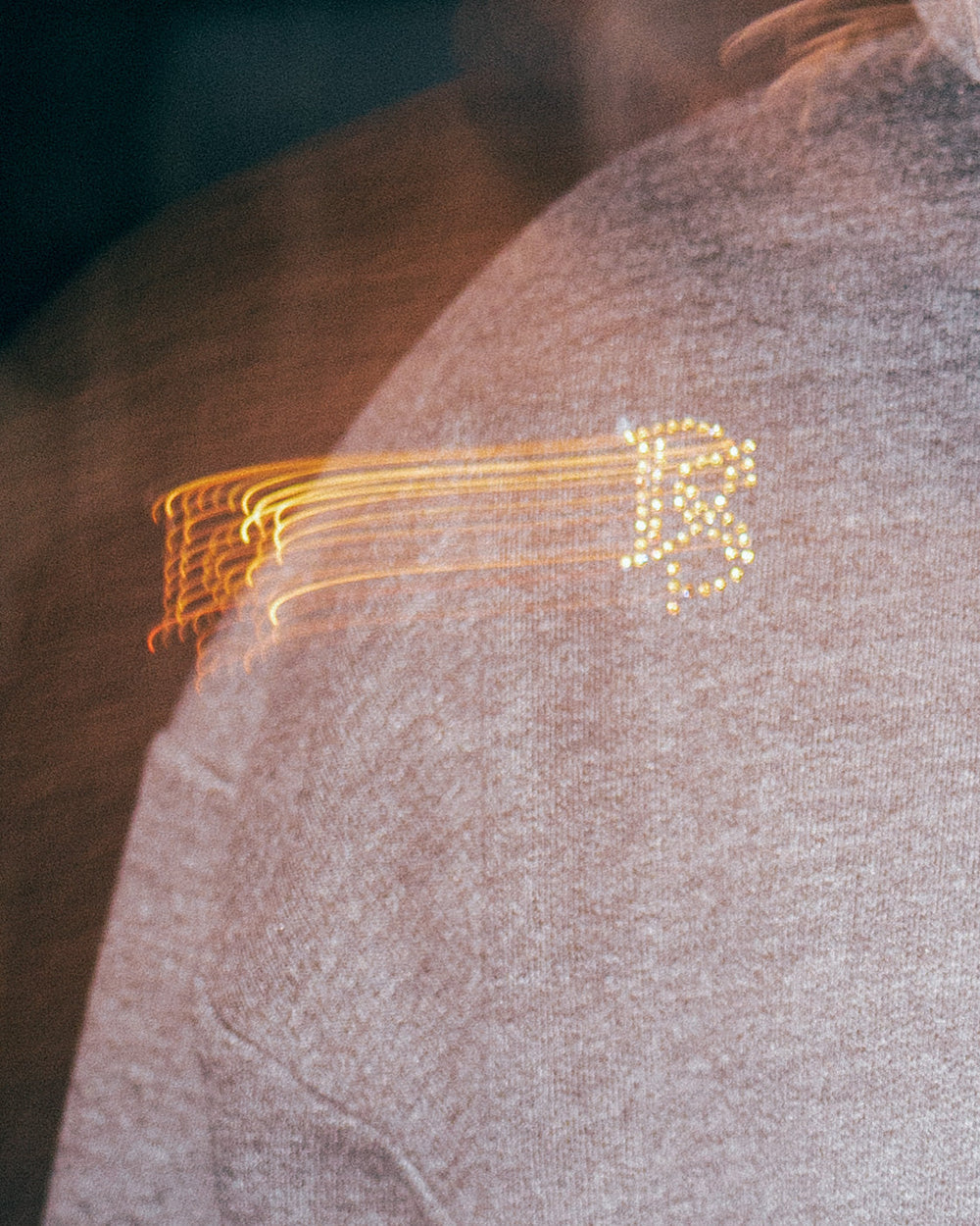 Heavyweight Zipper Hoodie ''DS rhinestones''